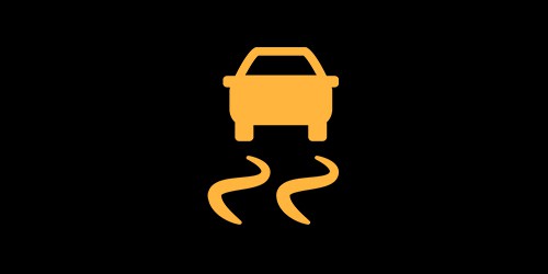 Traction Control Warning Light