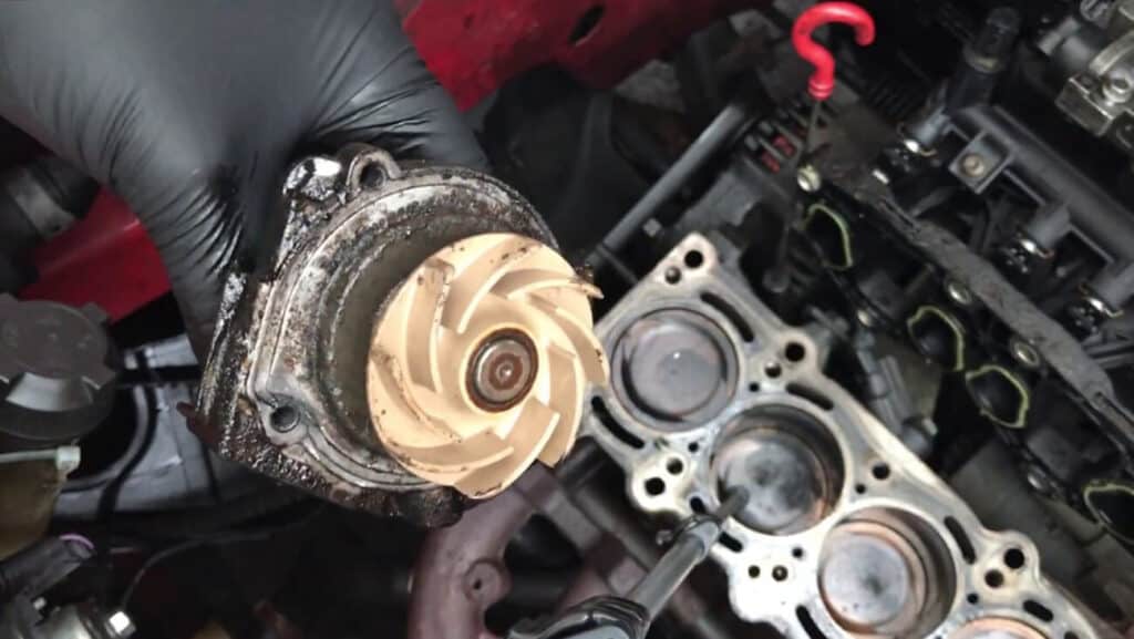 The Inside Scoop: Crucial Insights Your Mechanic Wants You to Know About Water Pump Maintenance