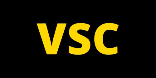 VSC Warning Light Service